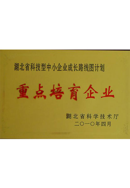 重點(diǎn)培育企業(yè)證書